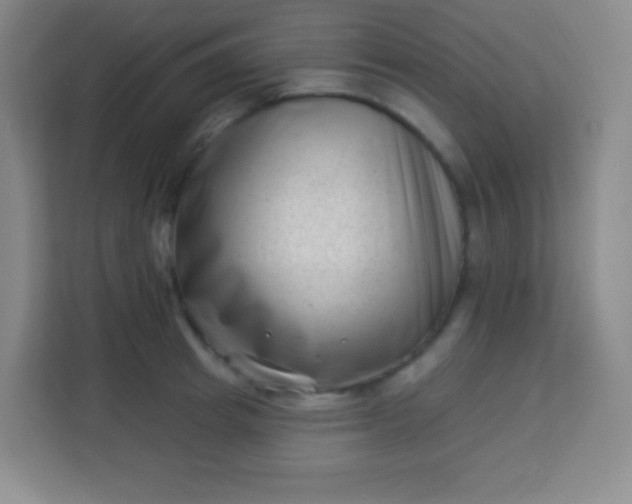 X0000113940849200910091621