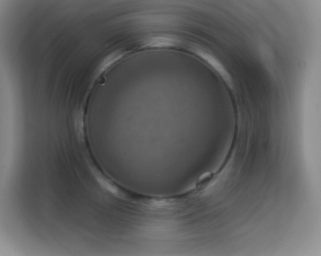 X0000113940850200910091621