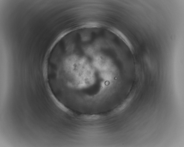 X0000113940851200910091621