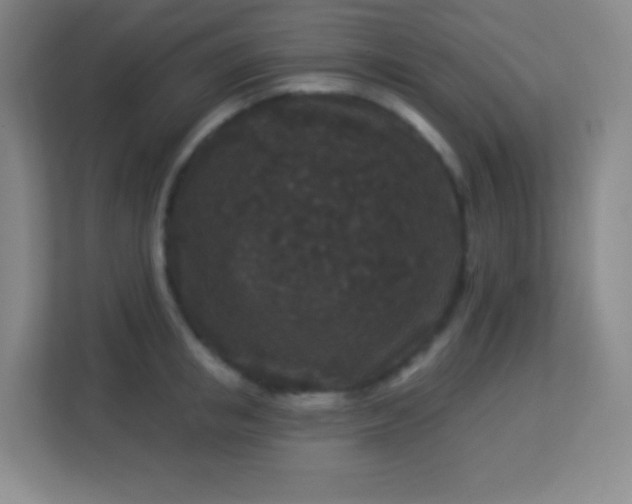 X0000113940853200910091621