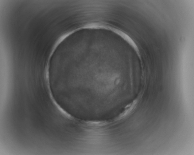 X0000113940855200910091621