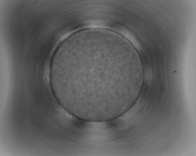 X0000113940856200910091621