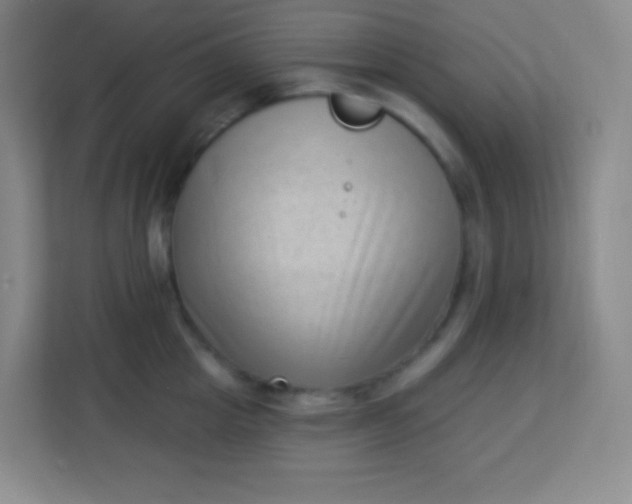 X0000113940857200910091621