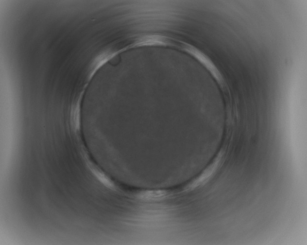 X0000113940858200910091621