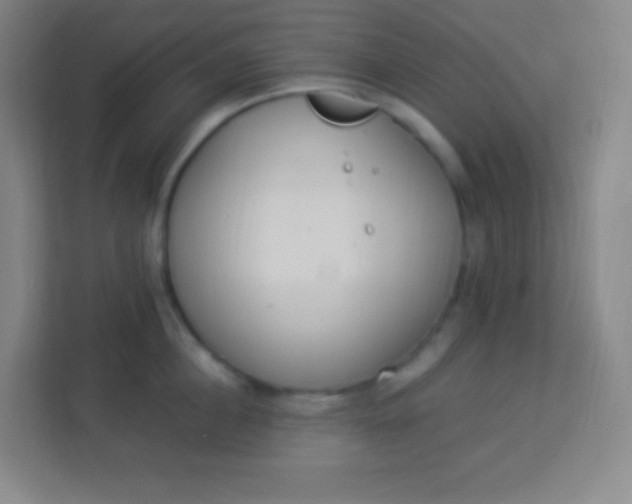 X0000113940860200910091621