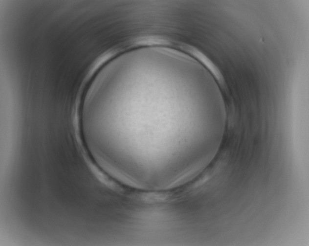 X0000113940861200910091621