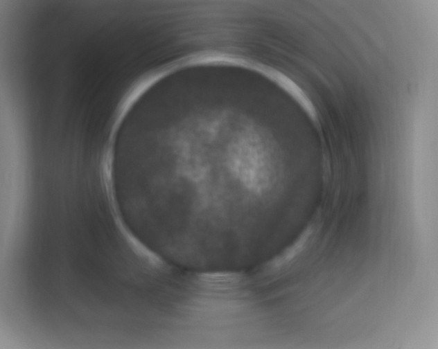 X0000113940863200910091621