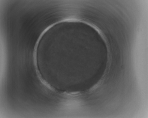 X0000113940864200910091621