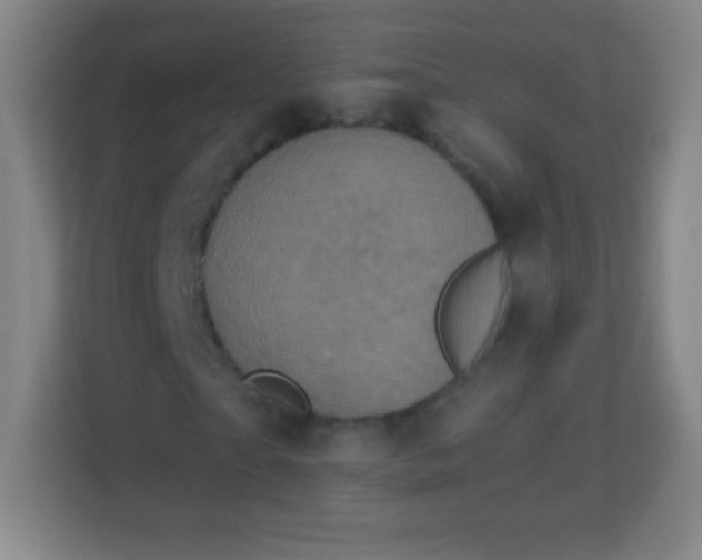 X0000113940865200910091621