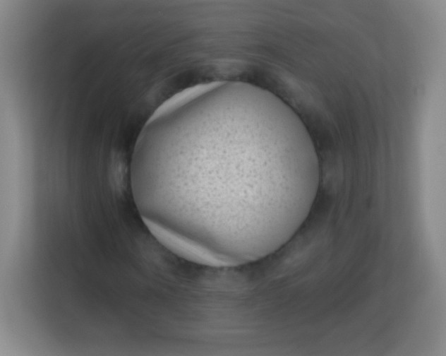 X0000113940866200910091621