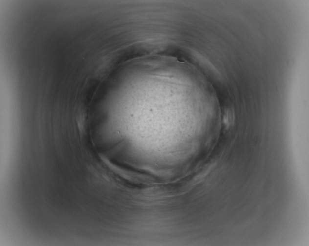 X0000113940867200910091621