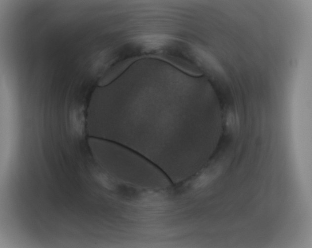 X0000113940868200910091621