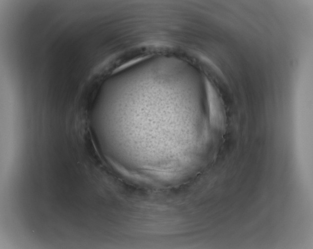 X0000113940870200910091621