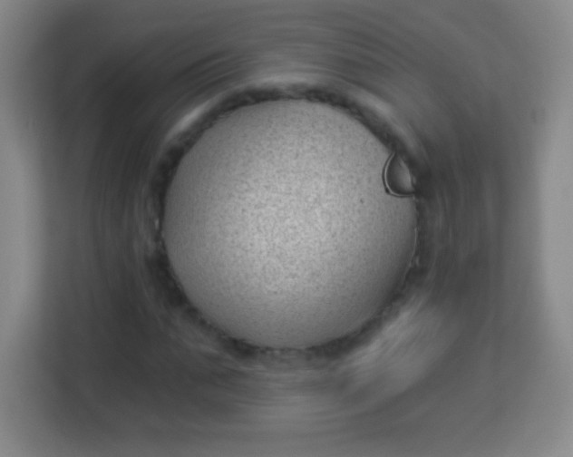 X0000113940871200910091621