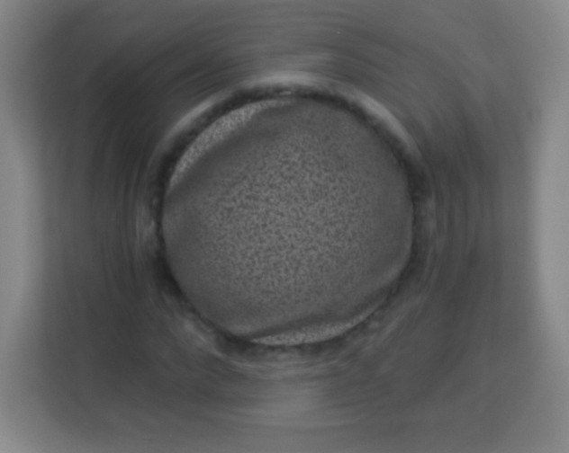 X0000113940872200910091621