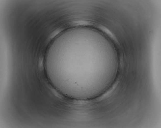 X0000113940873200910091621