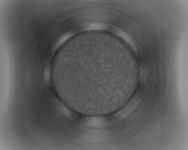 X0000113940874200910091621