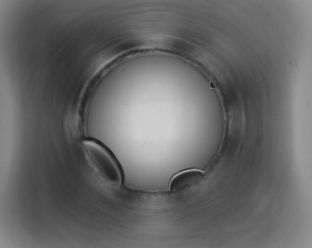 X0000113940876200910091620