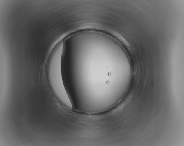 X0000113940877200910091620