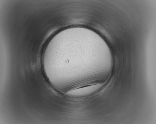 X0000113940878200910091620