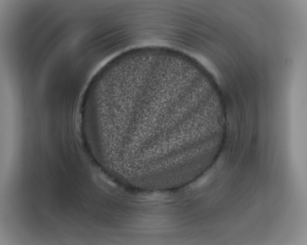 X0000113940879200910091620