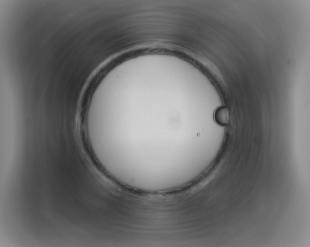 X0000113940880200910091620