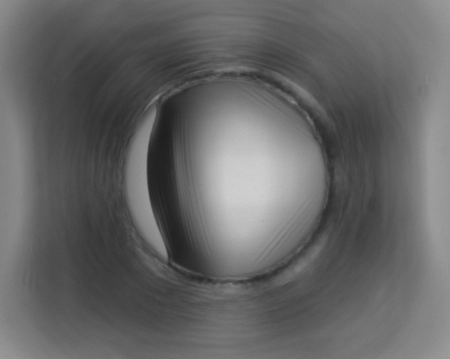 X0000113940881200910091620