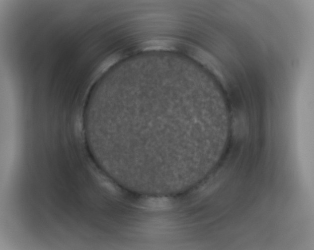 X0000113940882200910091620