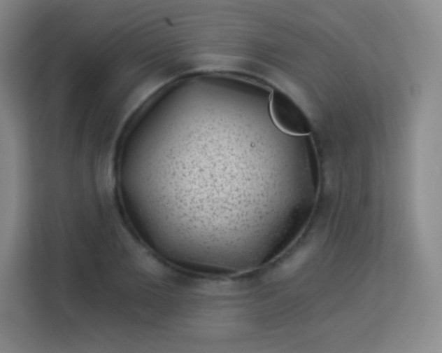 X0000113940885200910091620