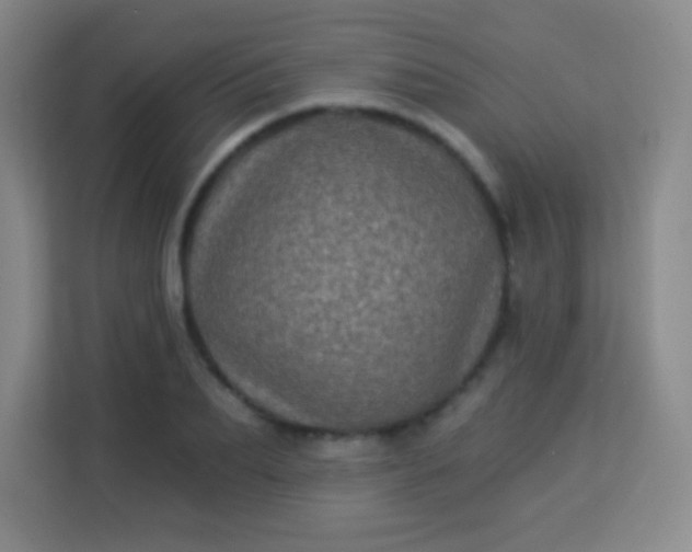 X0000113940887200910091620