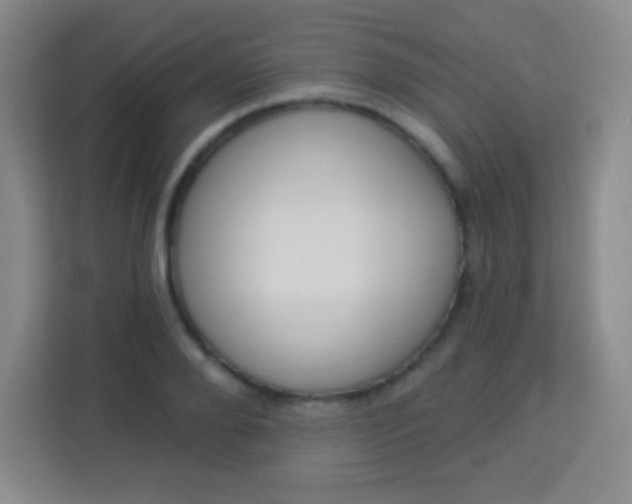 X0000113940888200910091620