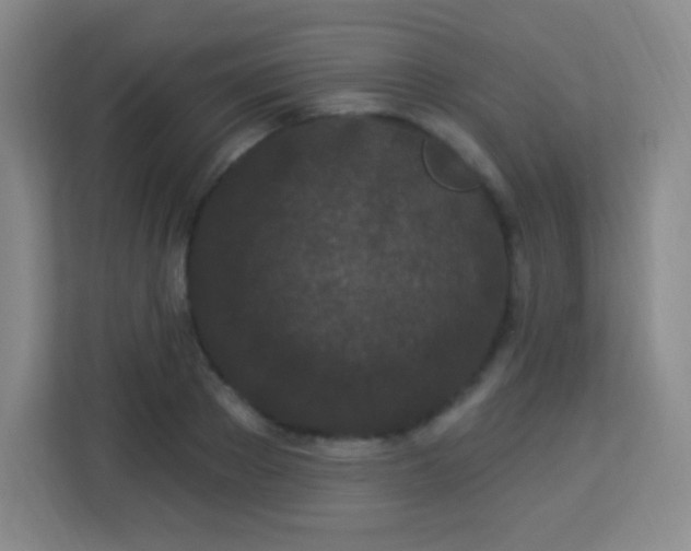 X0000113940889200910091620