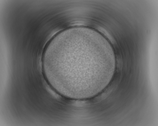 X0000113940890200910091620