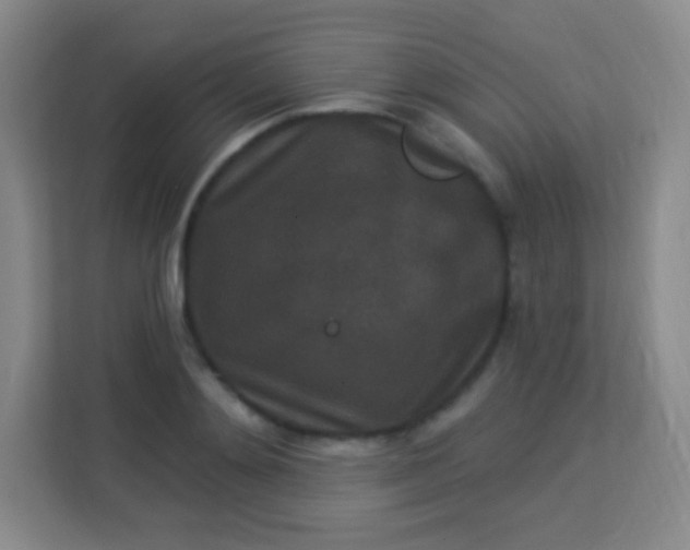 X0000113940892200910091620