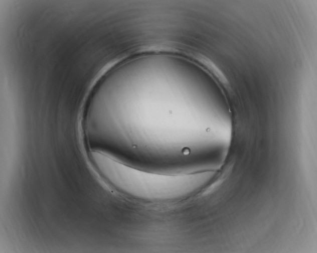 X0000113940893200910091620