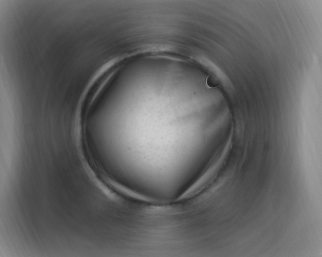 X0000113940894200910091620