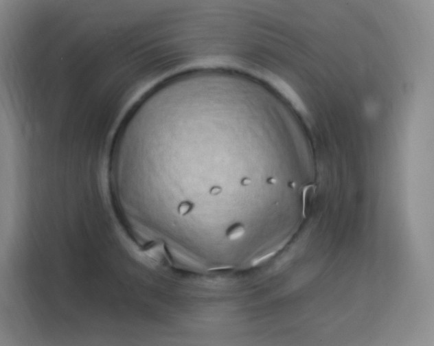 X0000113940895200910091620