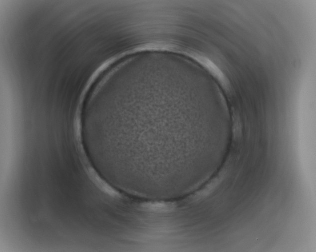 X0000113940896200910091620