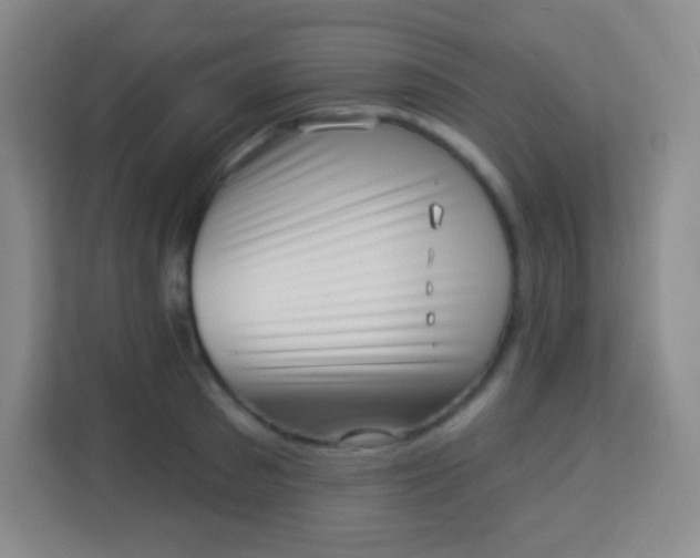 X0000113940897200910091620