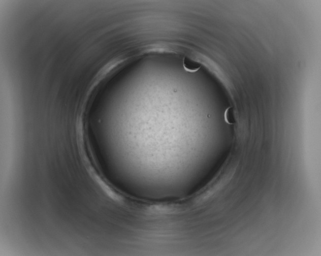 X0000113940898200910091620