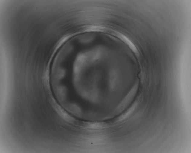 X0000113940899200910091620