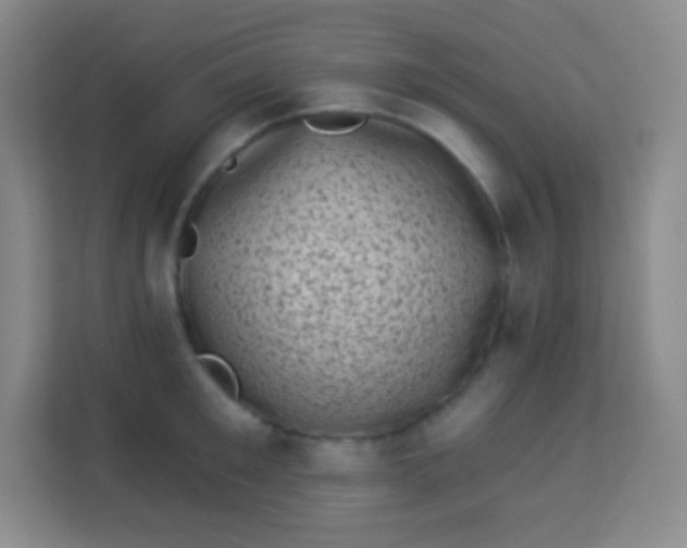 X0000113940901200910091620