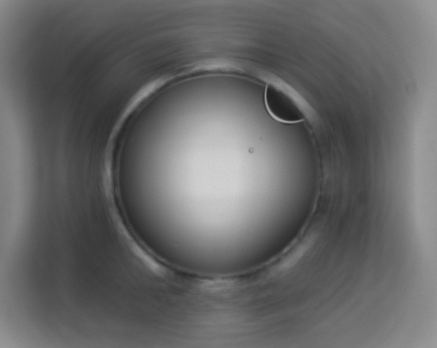 X0000113940902200910091620