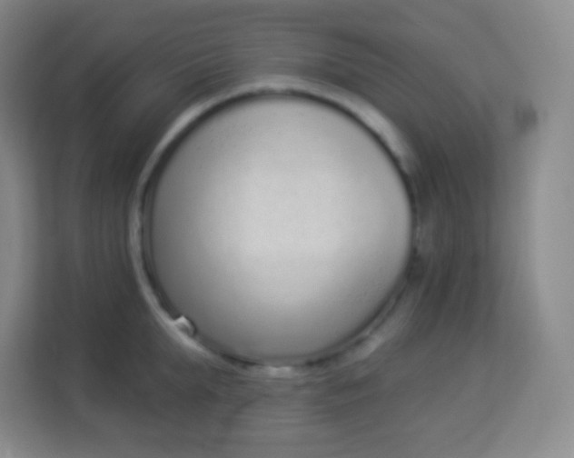 X0000113940903200910091620