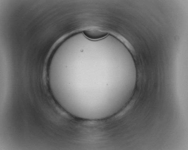 X0000113940904200910091620