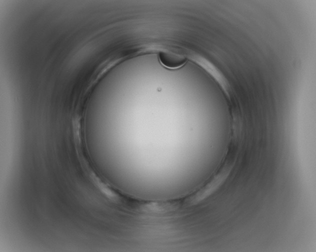 X0000113940906200910091620