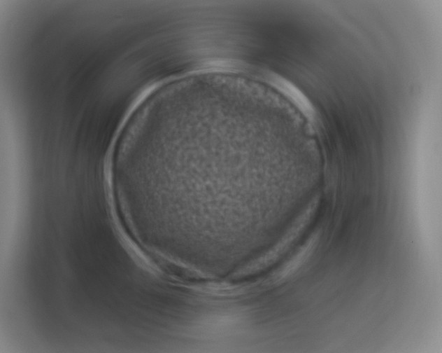 X0000113940907200910091620