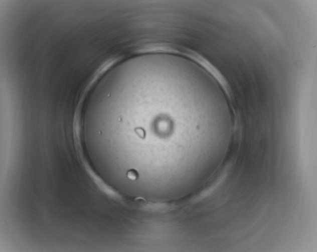 X0000113940909200910091620