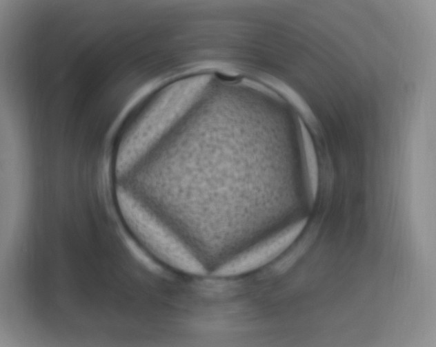 X0000113940910200910091620