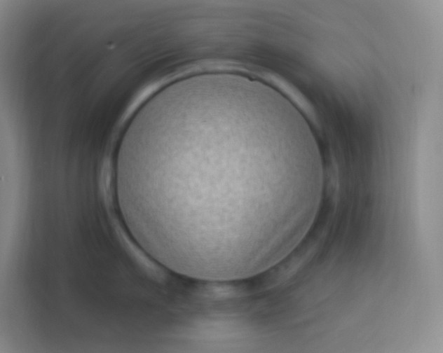 X0000113940911200910091620